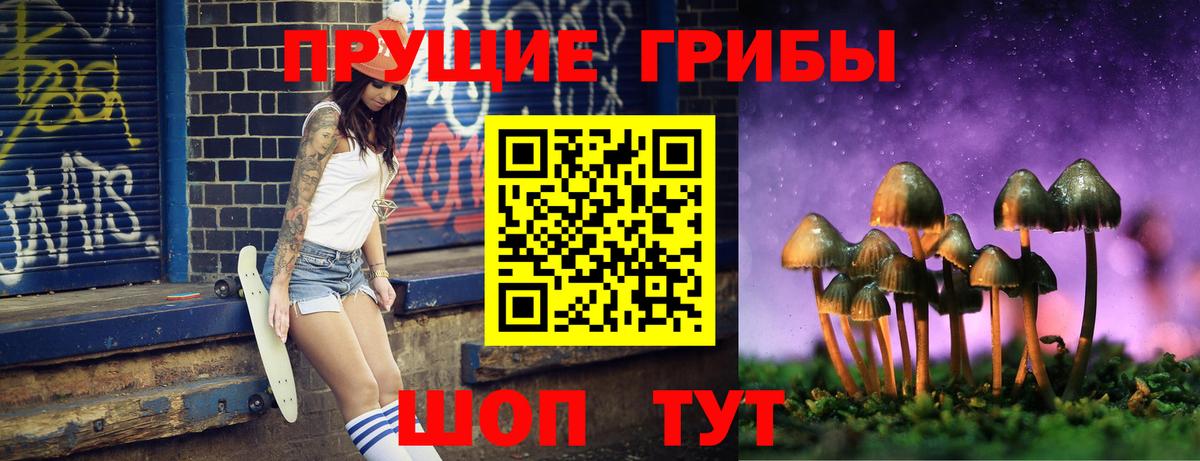 Сальск  Псилоцибиновые грибы ЛСД  Вход с VPN 