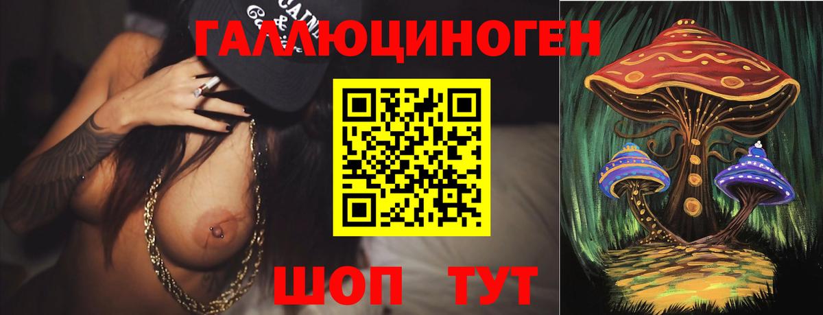 Псилоцибиновые грибы Psilocybe Сальск